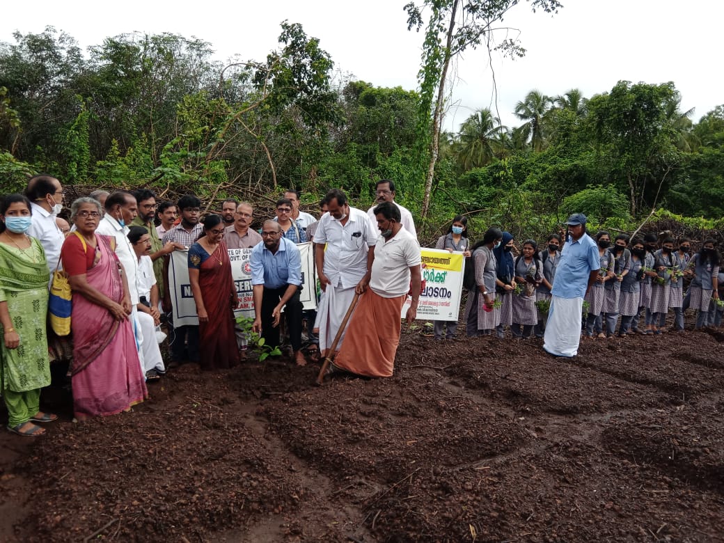 ഔഷധസസ്യങ്ങളെ അടുത്തറിയാന്‍ എരമം കുറ്റൂരില്‍ പുനര്‍നവ പാര്‍ക്ക്