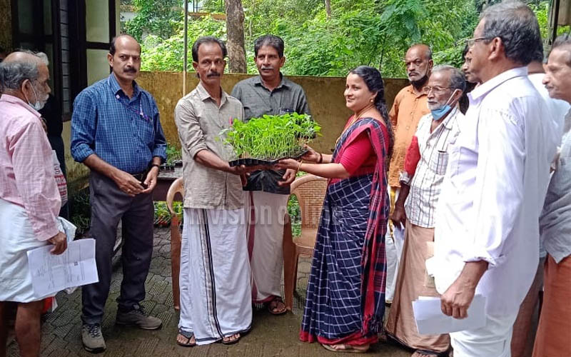 പച്ചക്കറി തൈ വിതരണം