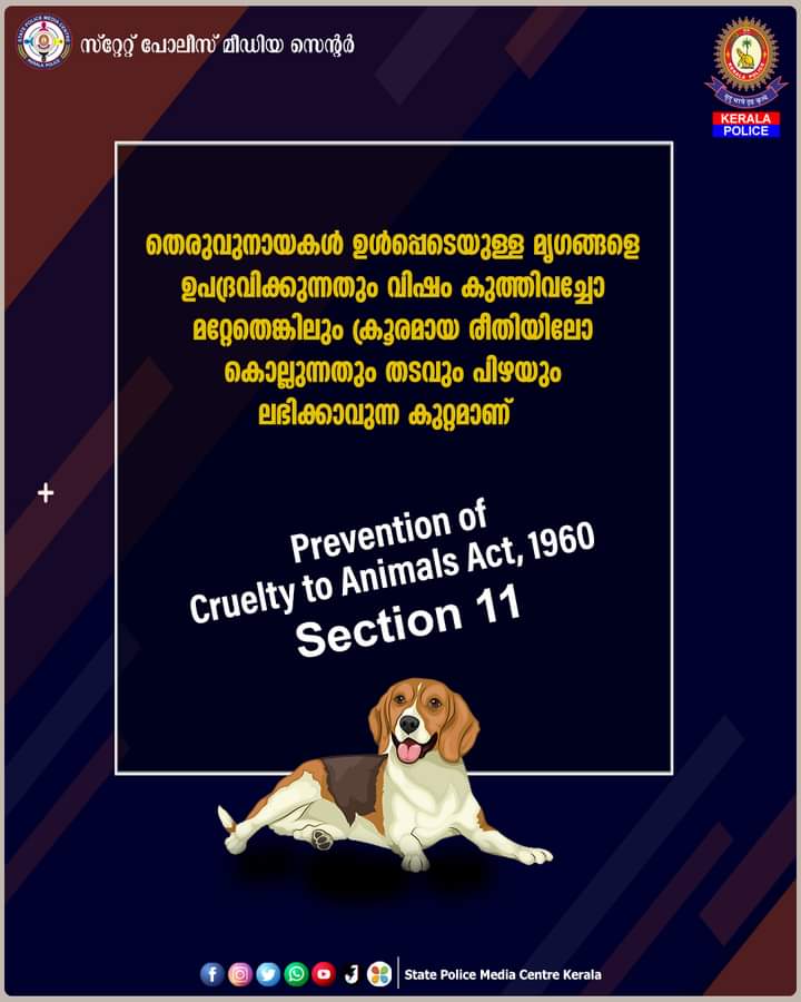 തെരുവുനായകളെ ഉപദ്രവിക്കുന്നതും കൊല്ലുന്നതും കുറ്റകരം; ഫേസ്ബുക്ക് പോസ്റ്റുമായി കേരള പോലീസ്