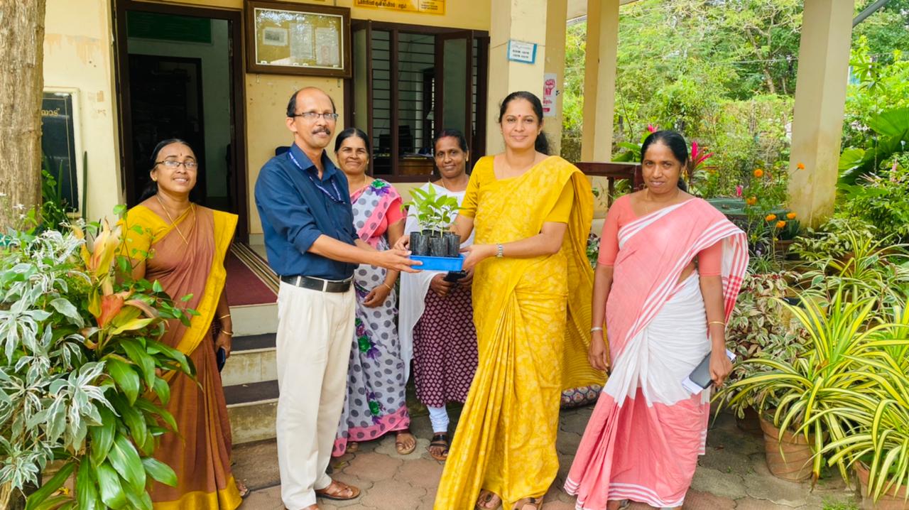 ഞള്ളാനി ഏലം, ഹൈബ്രിഡ് കാപ്പി തൈ വില്‍പന ആരംഭിച്ചു