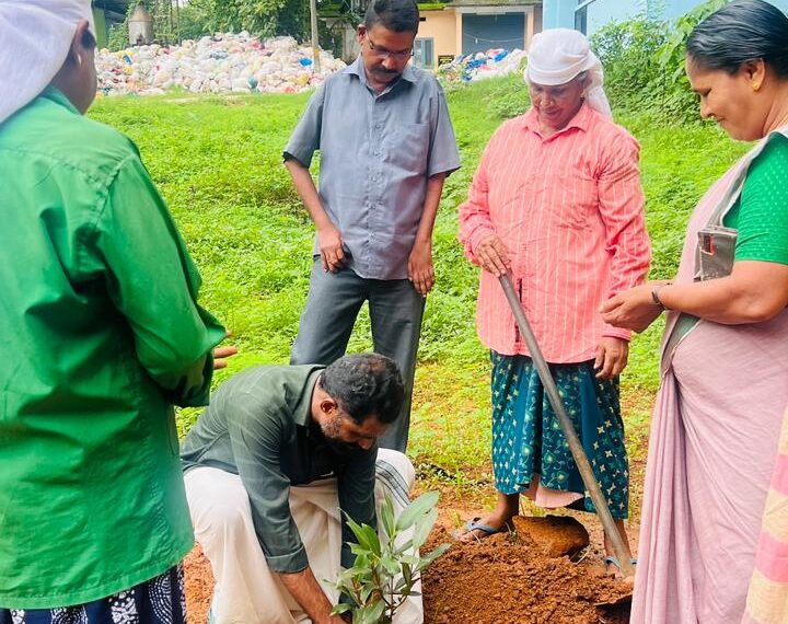 പരിസ്ഥിതി ദിനാചരണം