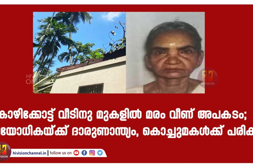 കോഴിക്കോട്ട് വീടിനു മുകളിൽ മരം വീണ് അപകടം; വയോധികയ്ക്ക് ദാരുണാന്ത്യം, കൊച്ചുമകൾക്ക് പരിക്ക്