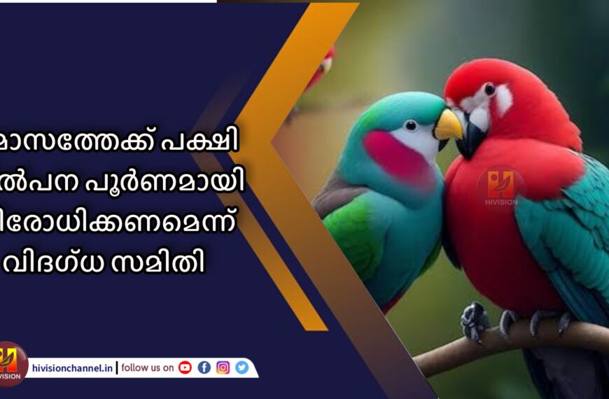 8 മാസത്തേക്ക് പക്ഷി വിൽപന പൂർണമായി നിരോധിക്കണമെന്ന് വിദഗ്ധ സമിതി