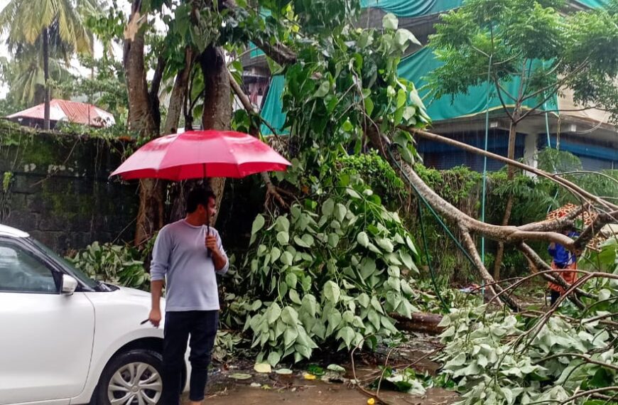 കാറ്റിലും മഴയിലും ഇരിട്ടി പഴയ പാലത്ത് റോഡിന് കുറുകെ മരം പൊട്ടി വീണു