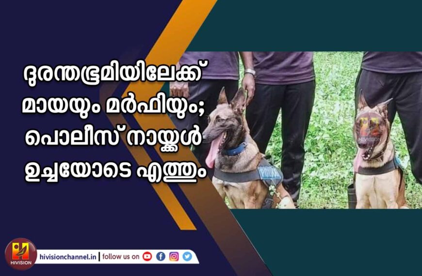 ദുരന്തഭൂമിയിലേക്ക് മായയും മര്‍ഫിയും; പൊലീസ് നായ്ക്കള്‍ ഉച്ചയോടെ എത്തും