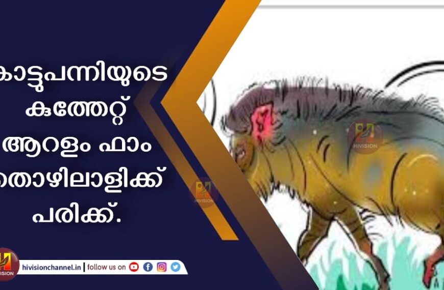 കാട്ടുപന്നിയുടെ കുത്തേറ്റ് ആറളം ഫാം തൊഴിലാളിക്ക് പരിക്ക്