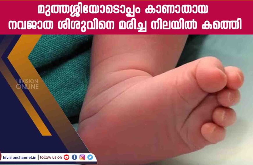 മുത്തശ്ശിയോടൊപ്പം കാണാതായ നവജാത ശിശുവിനെ മരിച്ച നിലയിൽ കണ്ടെത്തി