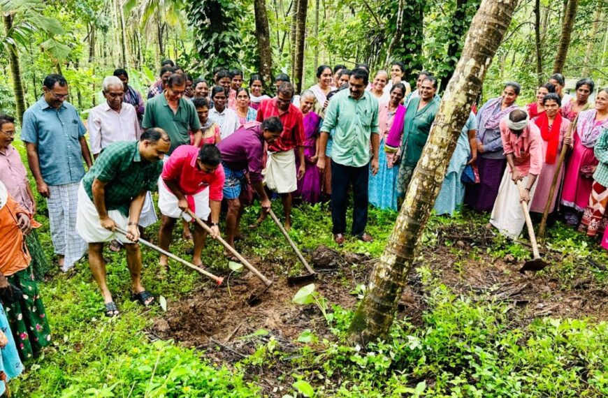 പടിയൂര്‍ കല്യാട് ഗ്രാമപഞ്ചായത്തില്‍ തെങ്ങിന് തടം മണ്ണിന് ജലം പരിപാടി