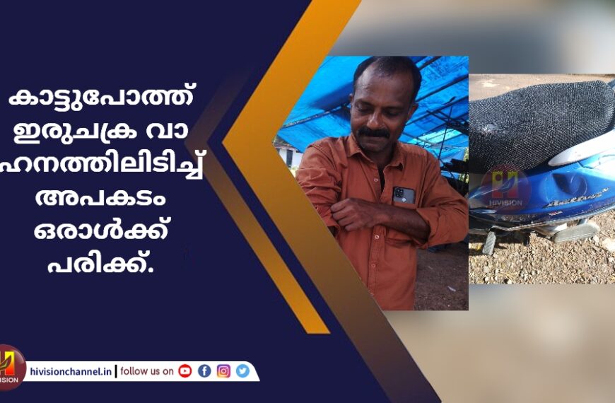 കാട്ടുപോത്ത് ഇരുചക്ര വാഹനത്തിലിടിച്ച് അപകടം. ഒരാൾക്ക് പരിക്ക്