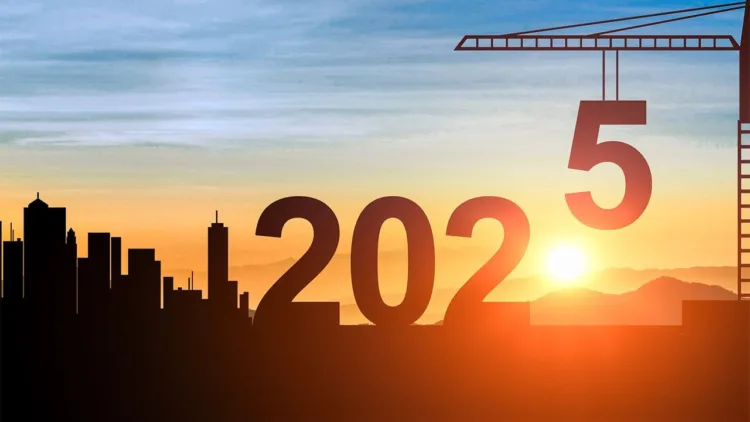 2025നെ വരവേല്‍ക്കാന്‍ ഒരുങ്ങി ലോകം