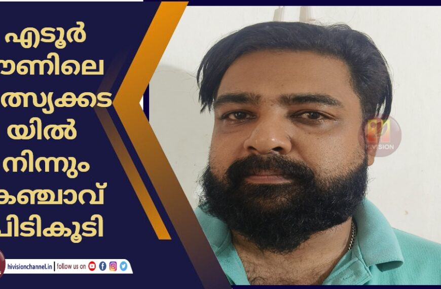 എടൂർ ടൗണിലെ മത്സ്യക്കടയിൽ നിന്നും കഞ്ചാവ് പിടികൂടി