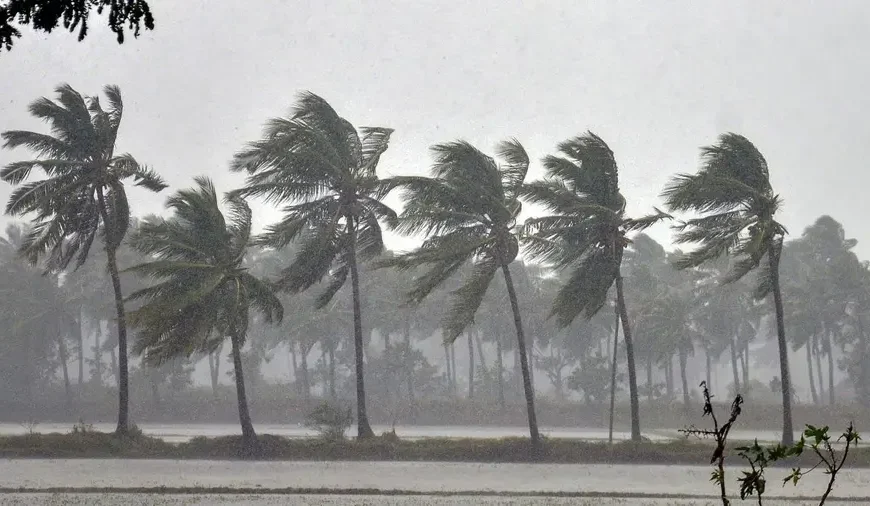 ഡിറ്റ് വാ ചുഴലിക്കാറ്റ്; സംസ്ഥാനത്ത് ഇന്നും മഴ തുടരും
