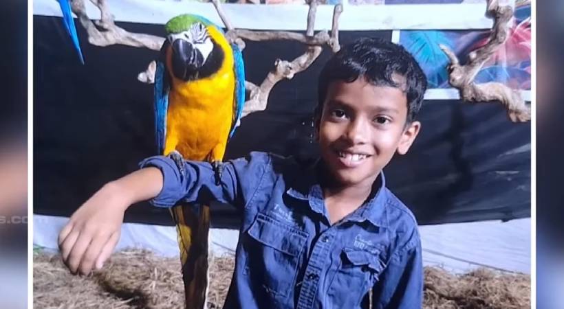 തൃശൂരില്‍ എട്ട് വയസുകാരന്‍ പാമ്പ് കടിയേറ്റ് മരിച്ചു