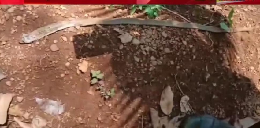 കളിക്കുന്നതിനിടയില്‍ നാലര വയസുകാരിക്ക് മൂര്‍ഖന്‍ പാമ്പിന്റെ കടിയേറ്റു