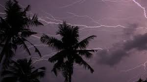 സംസ്ഥാനത്ത് അതിശക്തമായ മഴയ്ക്ക് സാധ്യത; 10 ജില്ലകളില്‍ യെല്ലോ അലേര്‍ട്ട്