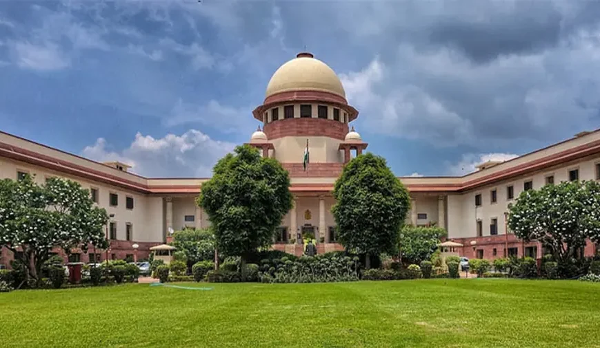 പൊതുയിടങ്ങളില്‍ നിന്ന് തെരുവു നായ്ക്കളെ നീക്കണം;മൃഗ സ്‌നേഹികളുടെ അപേക്ഷ തള്ളി സുപ്രീംകോടതി